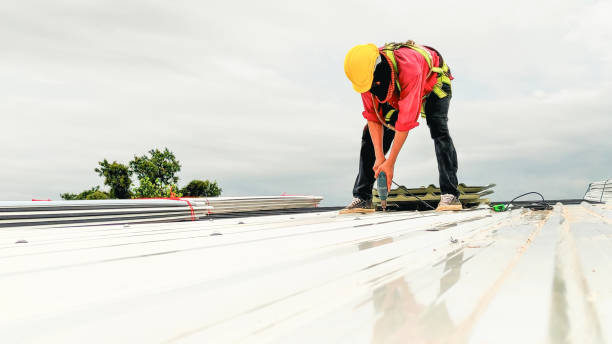 Best Roof Maintenance and Cleaning  in Pickens, SC